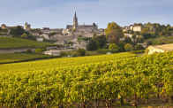Вино Бордо — богатый вкус традиций